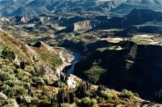 Peru: Colca Canyon and the Condor bird